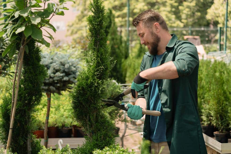 paysagiste Menton entretien plantes sécheresse 