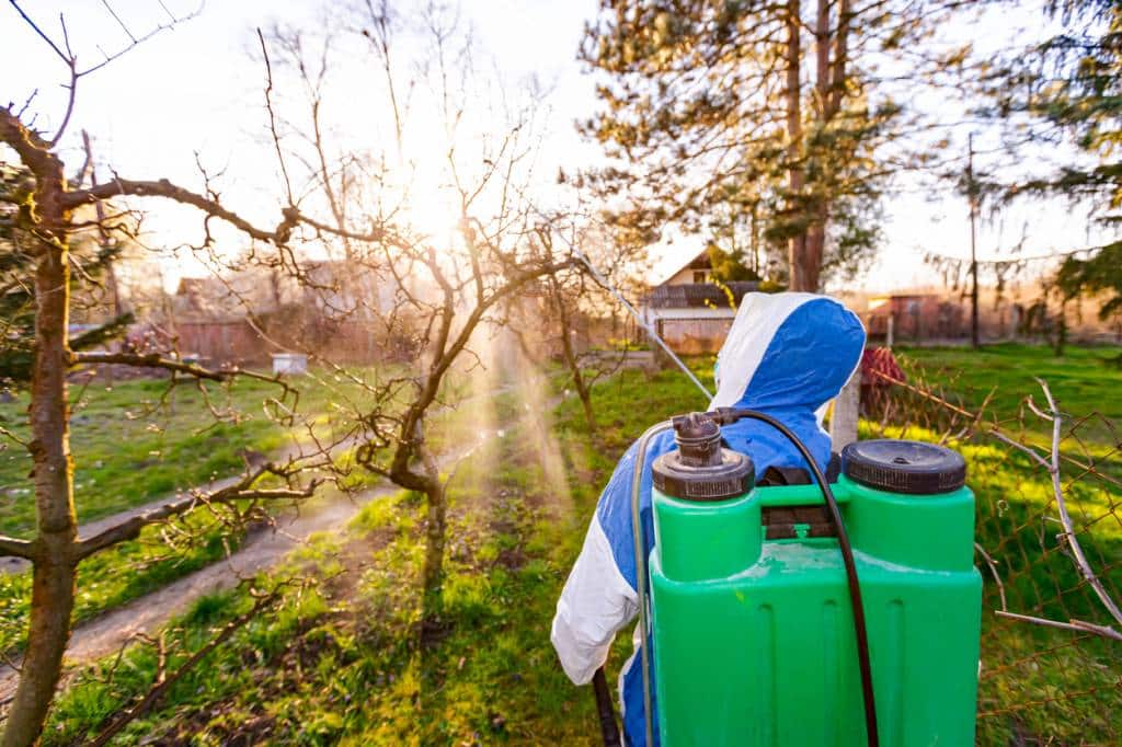 comment préparer votre jardin en automne