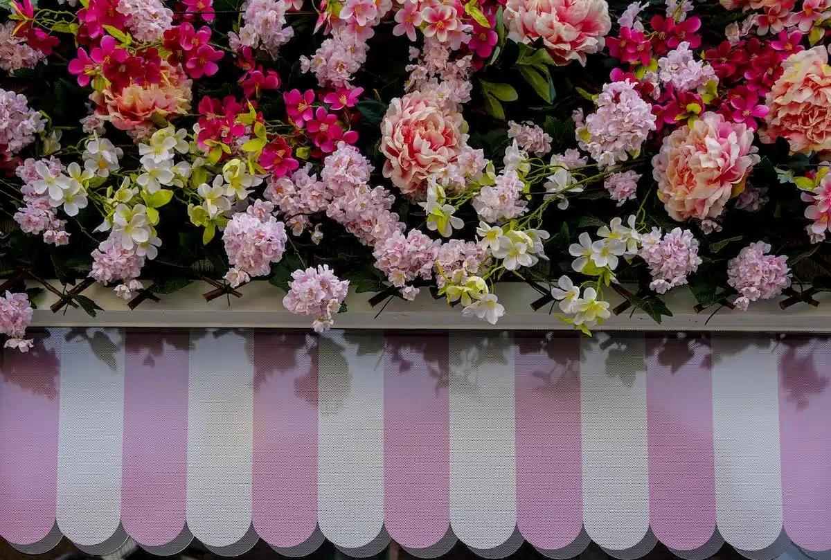 fleurs balcon