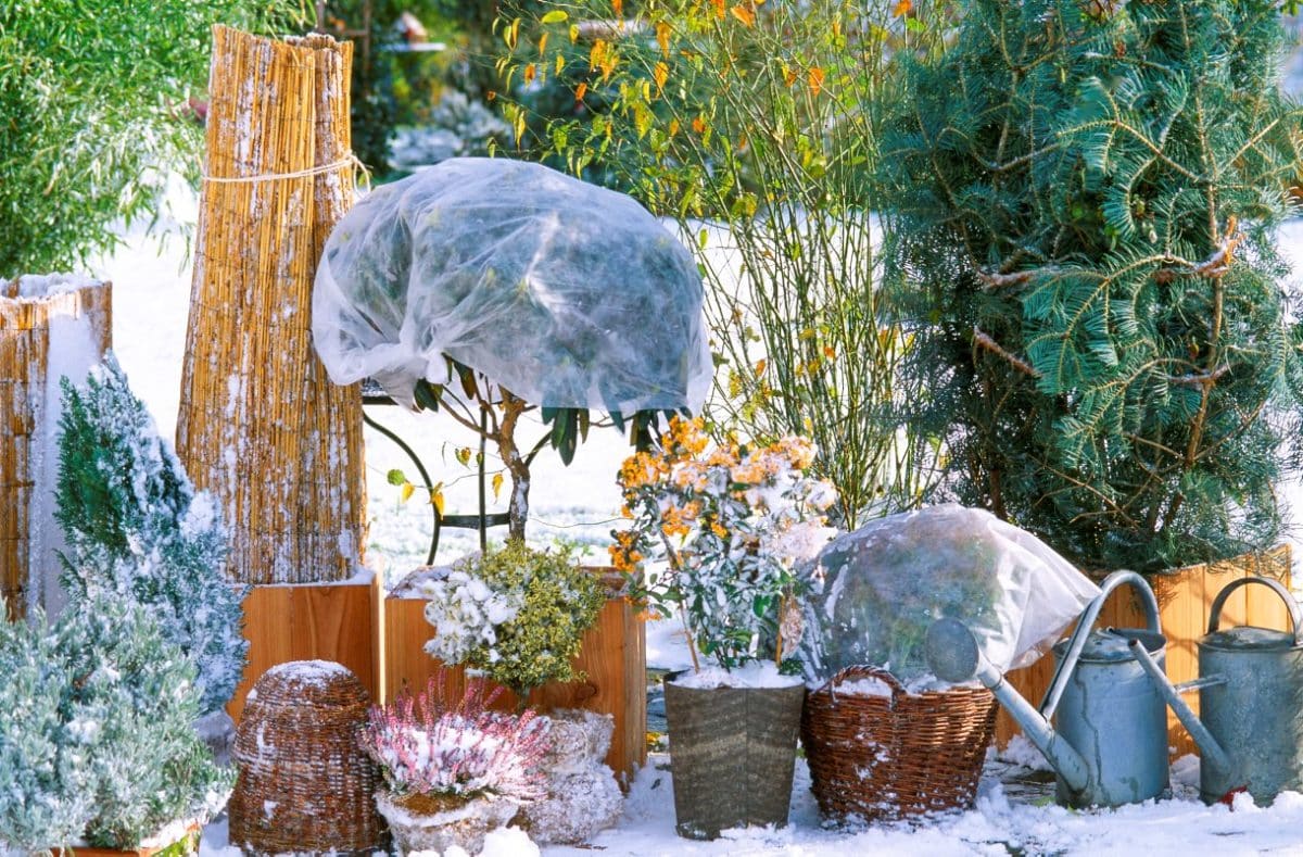 Les conseils pratiques pour mieux protéger son jardin en hiver
