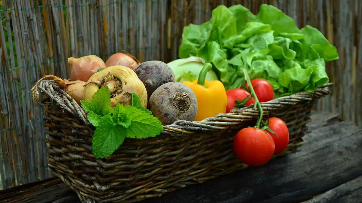 Est-il possible d'avoir un jardin naturel ?