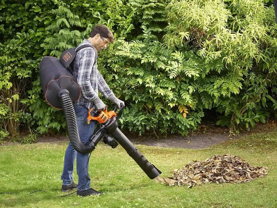 aspirateur à feuilles