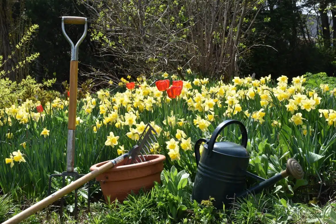 a garden filled with lots of yellow flowers